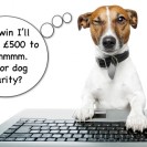 Win £500 for an animal charity of your choice