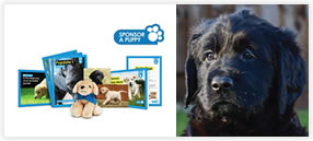 Sponsor a Puppy
