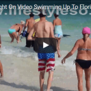 Shark shocks beachgoers in Florida