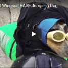 base jumping dog
