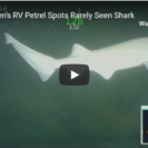 Rare Footage Of Sixgill Shark