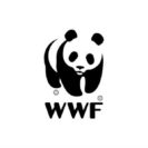 Join WWF In Urging The UK Government To Pass An Environment Act